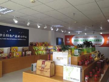 工博会展示中国智造新图景：为“硬核”工业装上智慧大脑