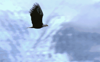 概念动态九联科技新增“智慧灯杆”概念